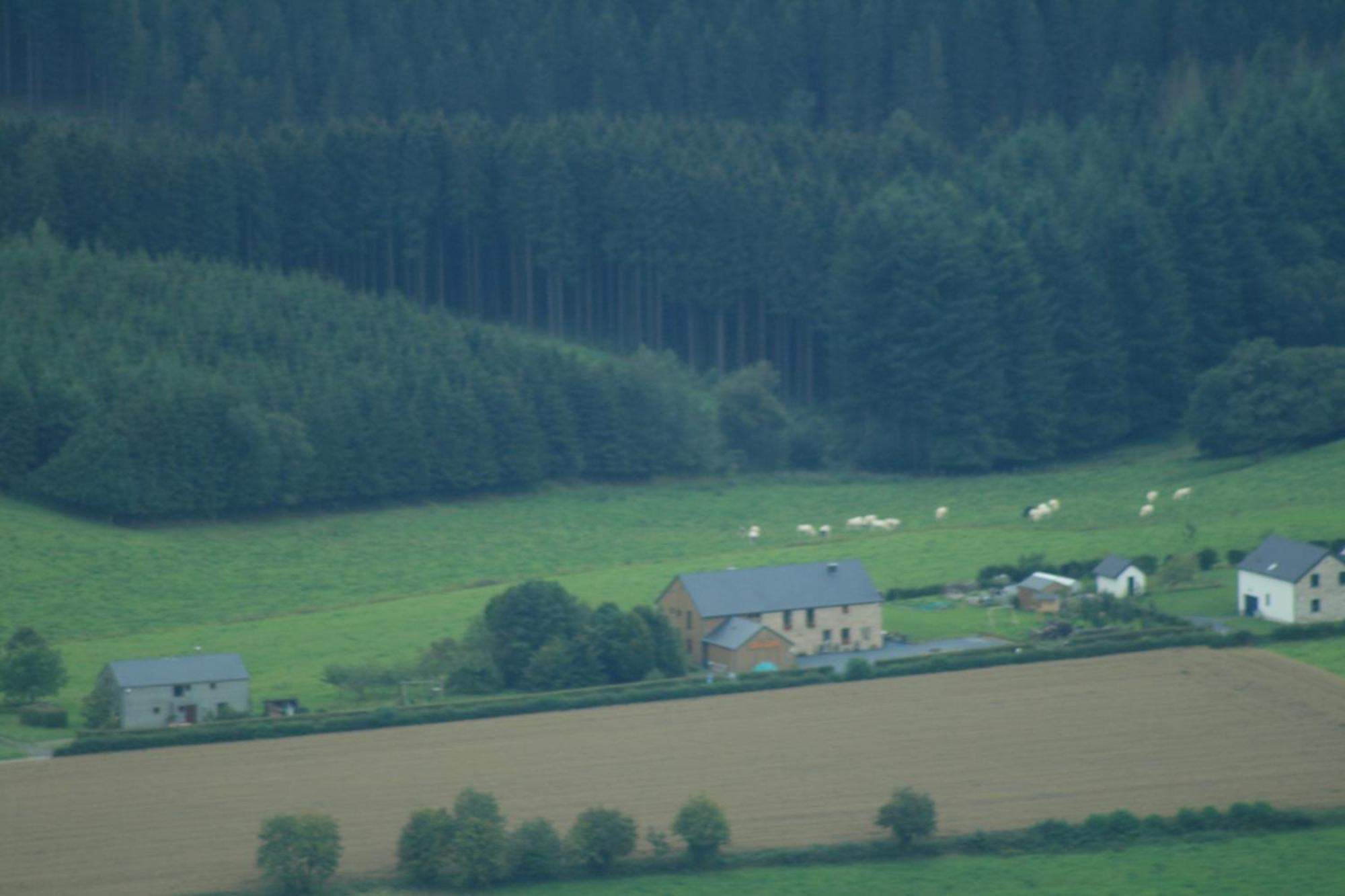 Chambres D'Hotes Les Trappeurs Silence & Nature Tenneville Zewnętrze zdjęcie